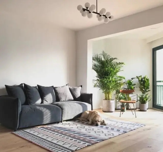 陽臺要不要裝推拉門？客廳和陽臺裝門與不裝門的優缺點